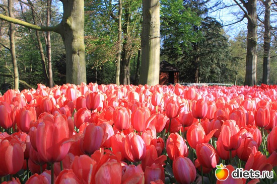 25 фото: Любимые фотки