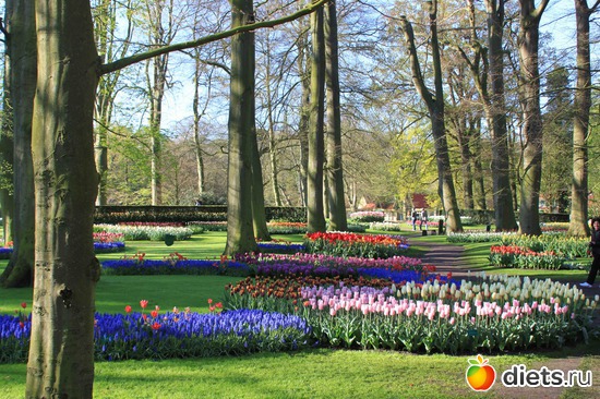 26 ����: ������� �����