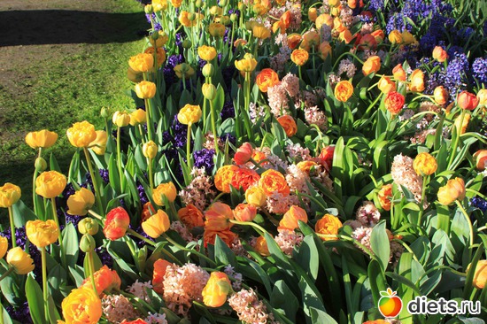 27 фото: Любимые фотки