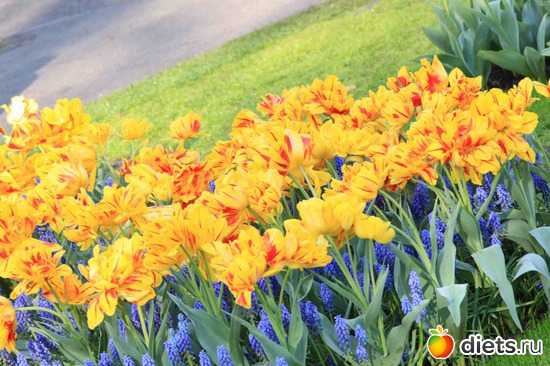 29 фото: Любимые фотки