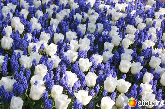 31 ����: ������� �����