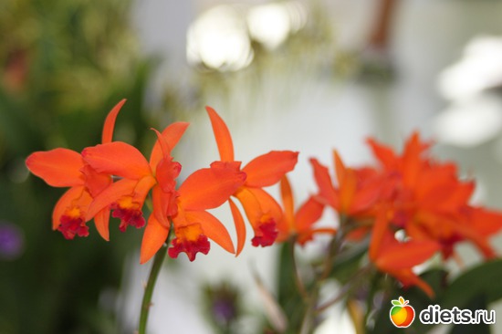 35 ����: ������� �����