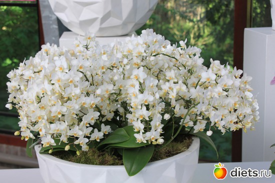 38 ����: ������� �����