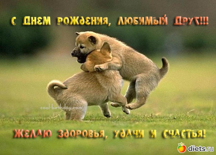 16 фото: ОТКРЫТКИ