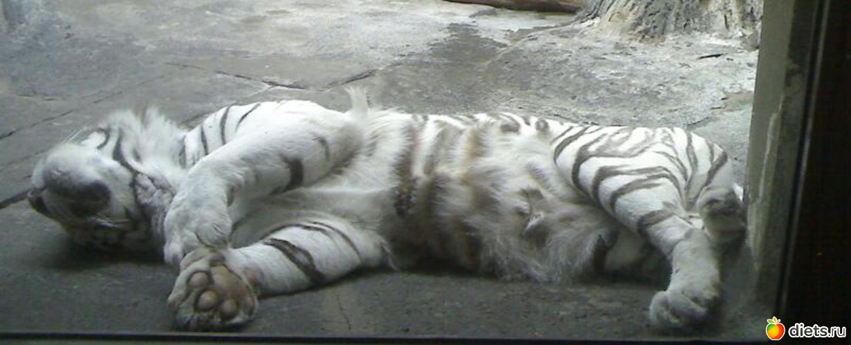 �������� ��� ������....., ������: ��������