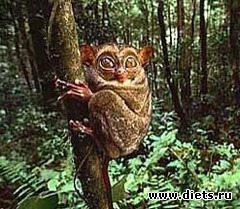 � ���� ���� ���� ����� ����� �����,����� � ��� �������!!�