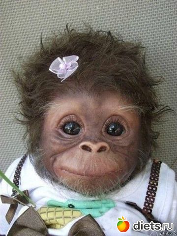 ����� ����������� ��������,:)