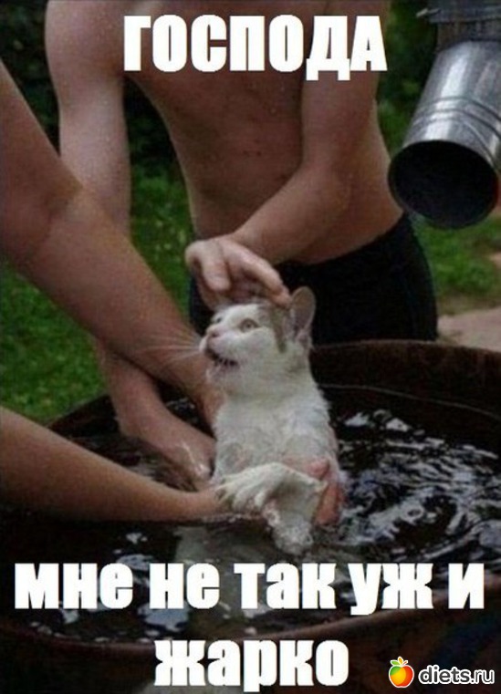 1 фото: Картинки