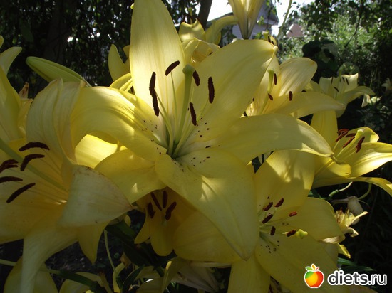 12 ����: ������� ������ ����