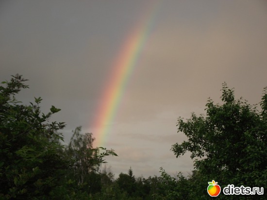 19 фото: Красота нашего сада