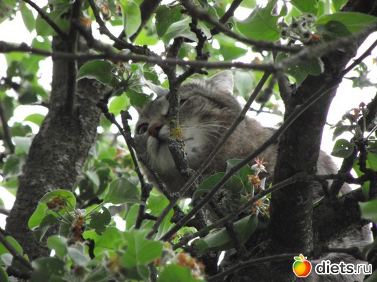 25 фото: Красота нашего сада