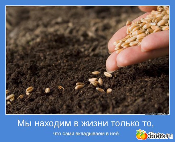 15 фото: Мои Мотивашки