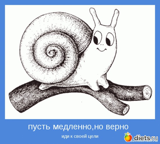 13 ����: ���������