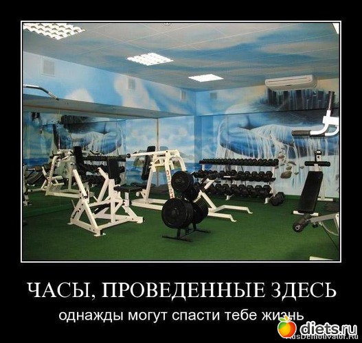 14 ����: ���������