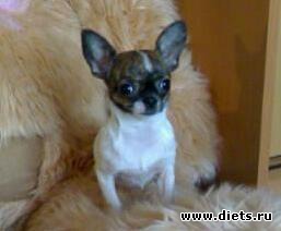 11�� ������ � �����:)