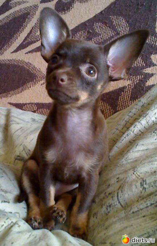 400�� ������ � �������:), ������: ��������