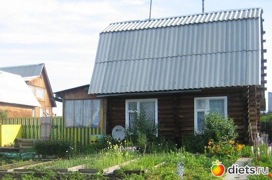 1 ����: ��� ������� ����