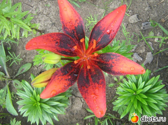 5 ����: ��� ������� ����