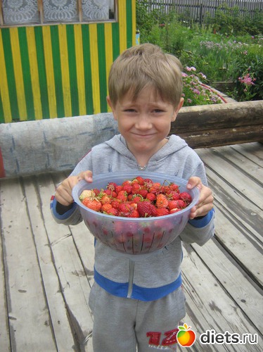 6 ����: ��� ������� ����