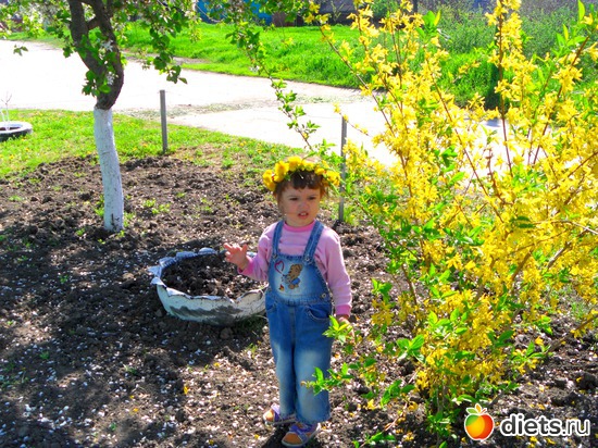 37 ����: ����)))))))))