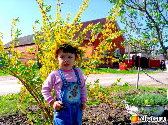 38 ����: ����)))))))))