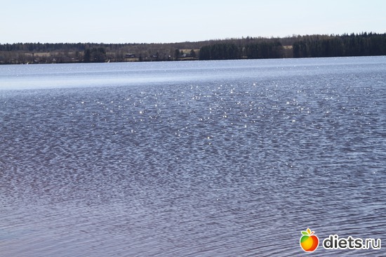 1 ����: �������