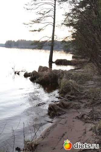 5 ����: �������