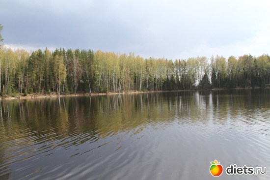 7 ����: �������