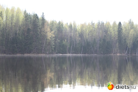 8 ����: �������