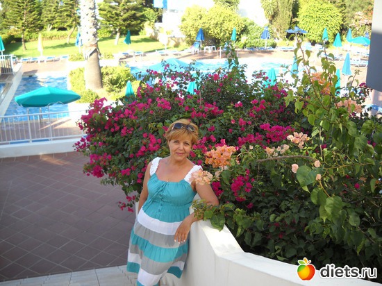 �� ������� ���������� � ����)), ������: ���� 2012. ����