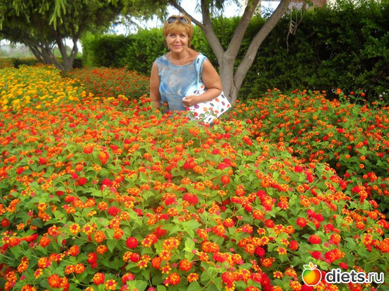 � ������� ����, ������: ���� 2012. ����