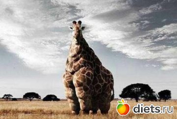 ���� ����� �������� � ����������