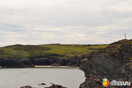 8 ����: ������