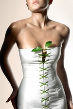 Советы с просторов тырнета