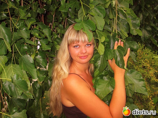 3 ����: ���� 2012