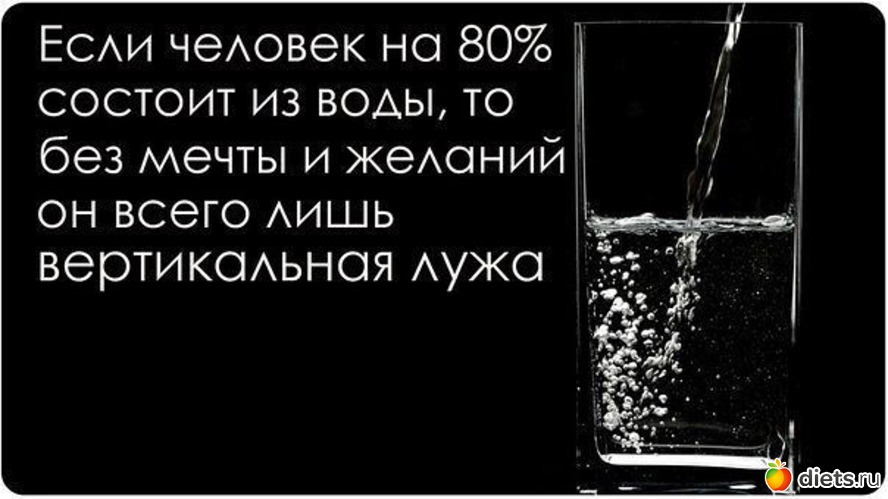 6 ����: ��������, �����������