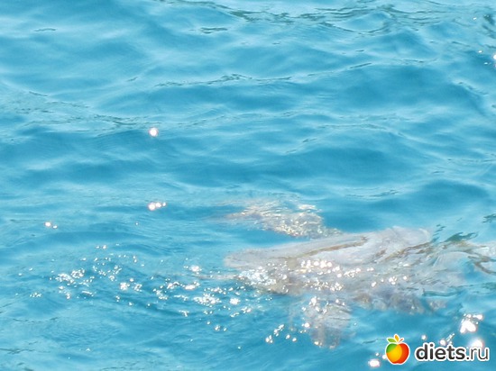 4 фото: ТУРЦИЯ-ВСЕ ВКЛЮЧЕНО-враг фигуре!!!!! 2012 год