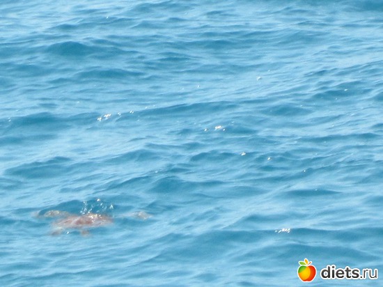 5 фото: ТУРЦИЯ-ВСЕ ВКЛЮЧЕНО-враг фигуре!!!!! 2012 год