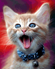 Картиночки