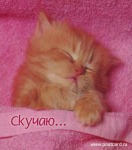 Картиночки