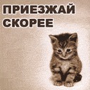 Картиночки