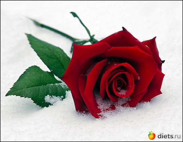 29 фото: Картиночки