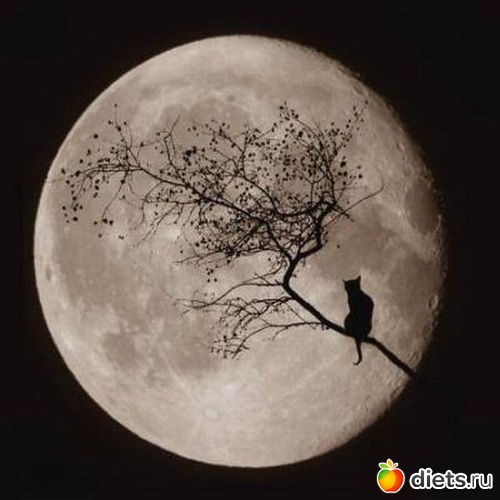 58 фото: Картиночки