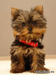 Картиночки