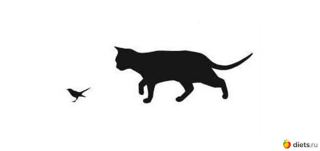 91 фото: Картиночки