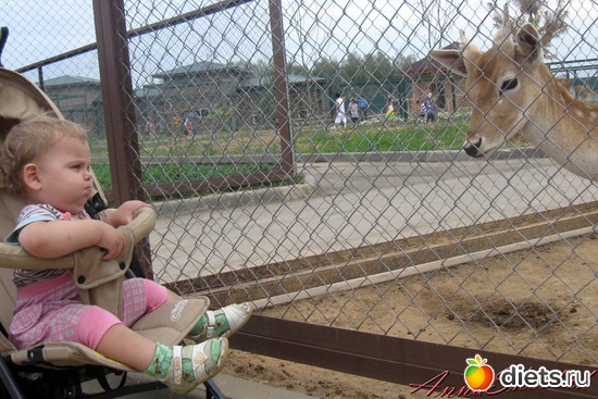 ��������, ������: ������� ����