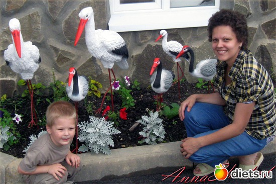 � ���������� �����, ������: ������� ����