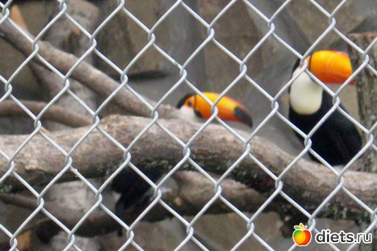 8 ����: ������� ����