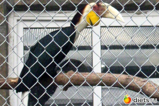 9 ����: ������� ����