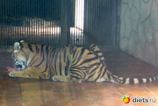 13 ����: ������� ����